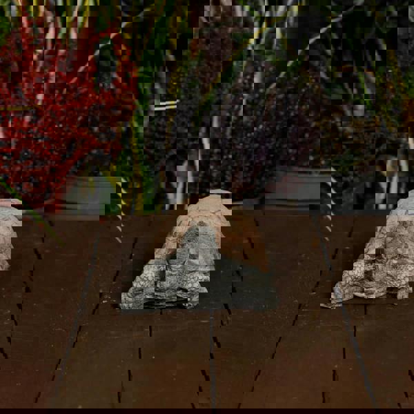 Small Stone Cast Tortoise Garden Ornament 