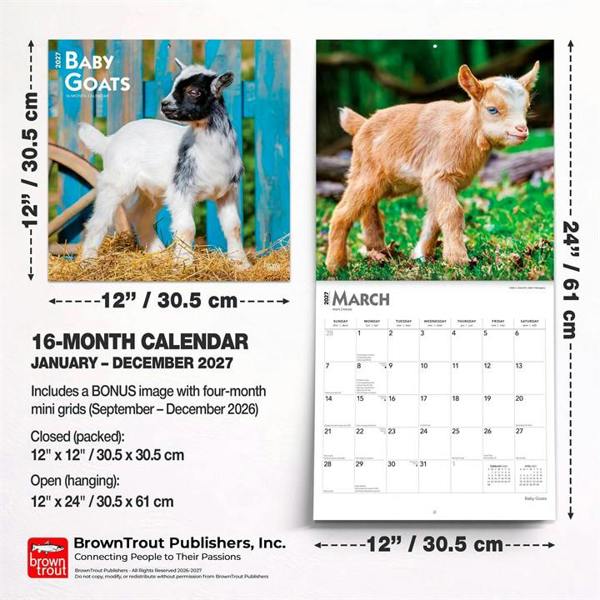 Baby Goats Calendar 2027, Wall Calendars, Month To View, Animals, Gift