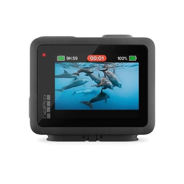 GoPro Hero Tiny 4k Action Camera Dash Cam