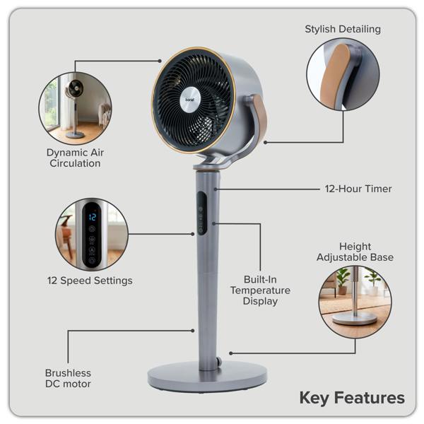Dellonda Baridi 12" Adjustable-Height Pedestal Fan with Remote Control, Back Light Function & 12hr Timer, Grey - DH264