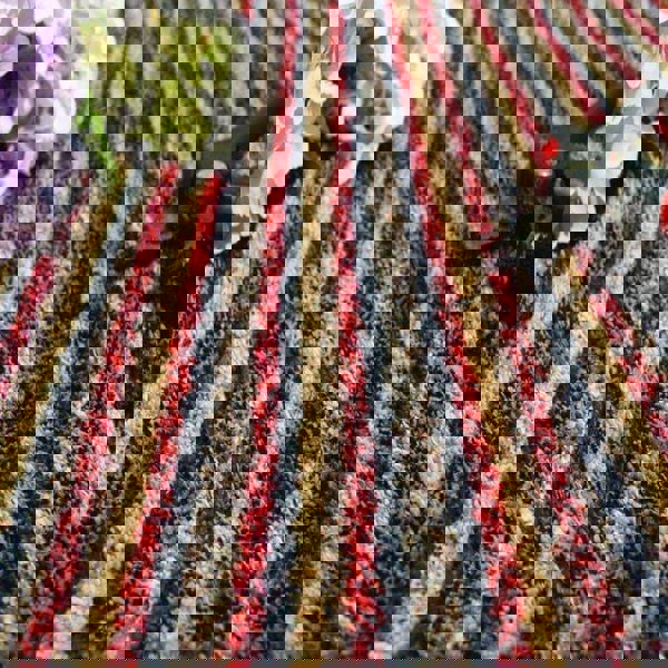 The Rugs Washable Striped Multicolour Mat | Microfibre Rug