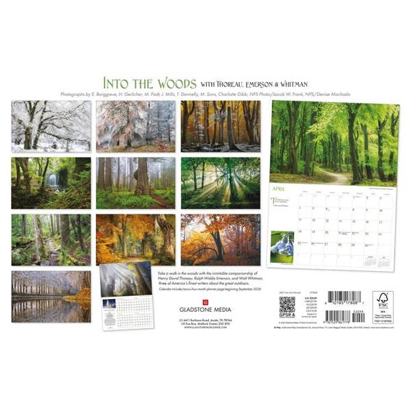 Into The Woods Deluxe Calendar 2027, Deluxe Calendars, Month To View, Natural World, Gift