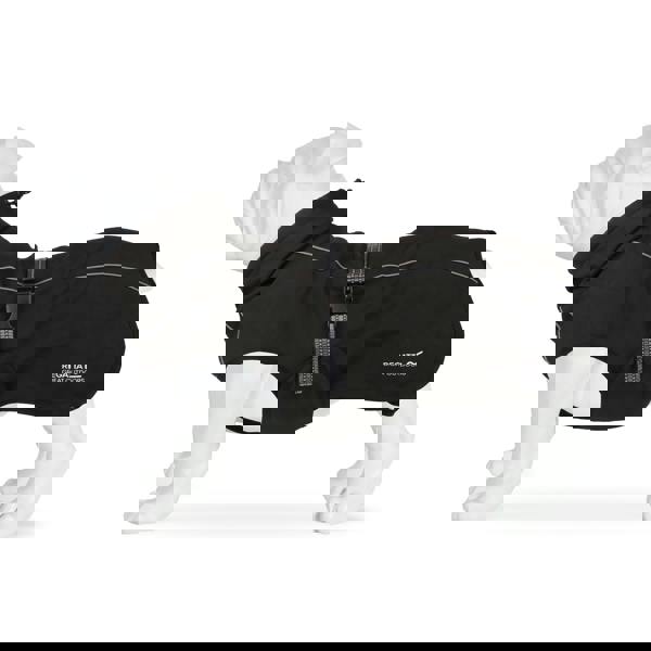 Regatta Softshell Dog Coat - Black - 