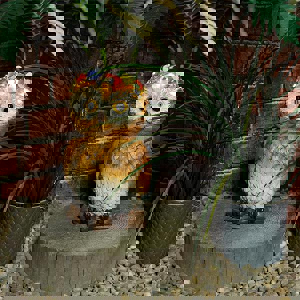 St Helens Female OWL With Light Up Head band