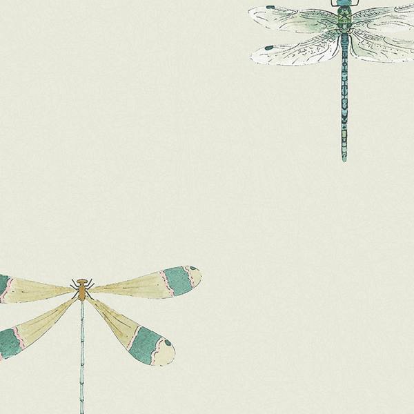 Sophie Allport Watercolour Dragonfly Off White Wallpaper