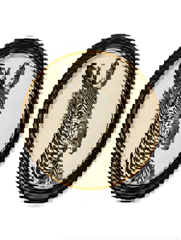 Exceptional Art c1890 Zebra Illustrations in Round Frame - Dark