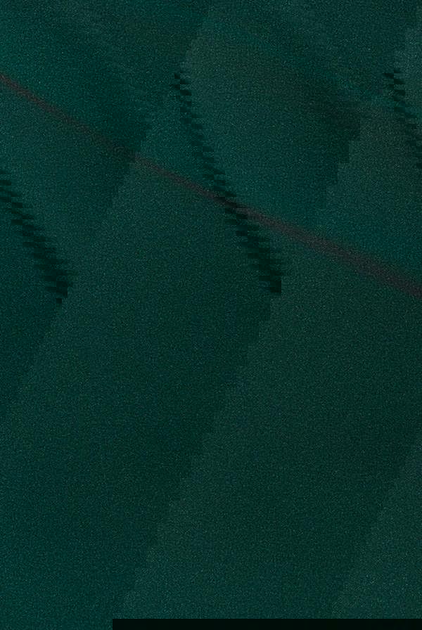 Bardot Pleated Maxi Dress - EmeraldGreen DR1092