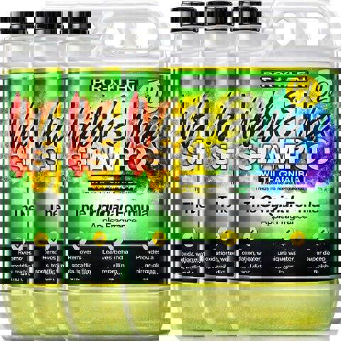 ProKleen Pro-Kleen 15 Litres Carnauba Wash and Wax Shampoo (Apple Fragrance)