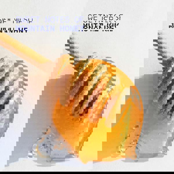 Korres Mountain Honey Hand Cream