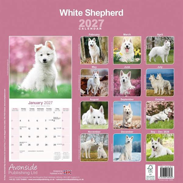 White Shepherd Calendar 2027, Wall Calendars, Month To View, Dogs, Gift