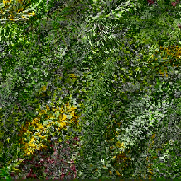 Monstershop Cassia Artificial Wall Tile x 3 - 100cm x 100cm