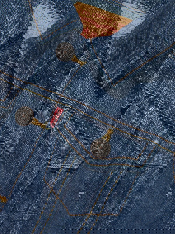 Levi's Kids Wear Levi's Boys Cotton Denim Trucker Jacket