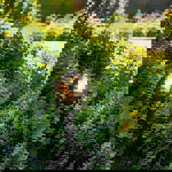 black spike spotlight installed in a gardne border among plants 