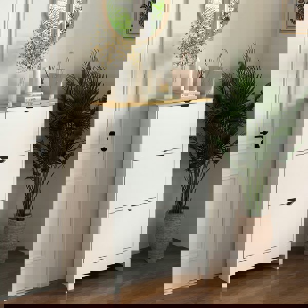 Flip-down Shoe Cabinet