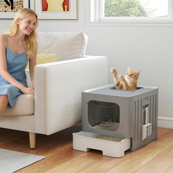 Cat Litter Box