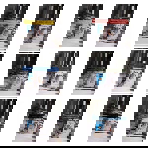 Assots London 'DINAH' Transparent Zip Top Yellow Coin Purse