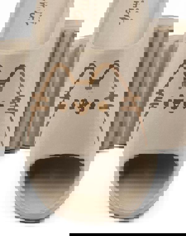 Pusheen Girls Brown Character Sliders