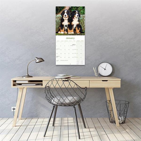 Bernese Mountain Dog Calendar 2027, Wall Calendars, Month To View, Dogs, Gift