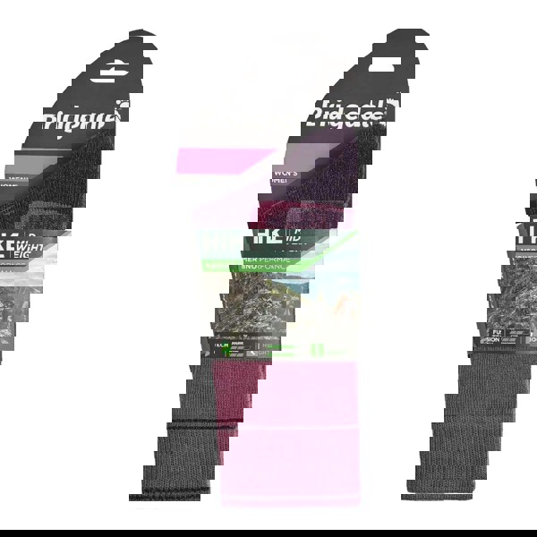 t4option1_0