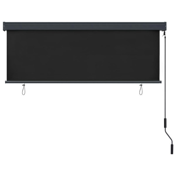 Berkfield Outdoor Roller Blind 160x250 cm Anthracite