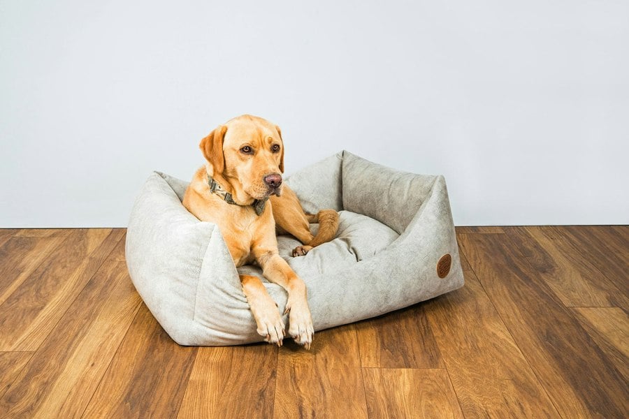 Snug and Cosy Pets Velour Dog Bed