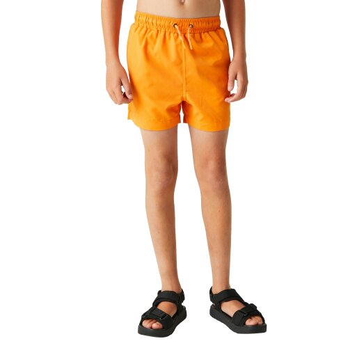 Regatta Childrens/Kids Skander III Plain Swim Shorts - Persimmon