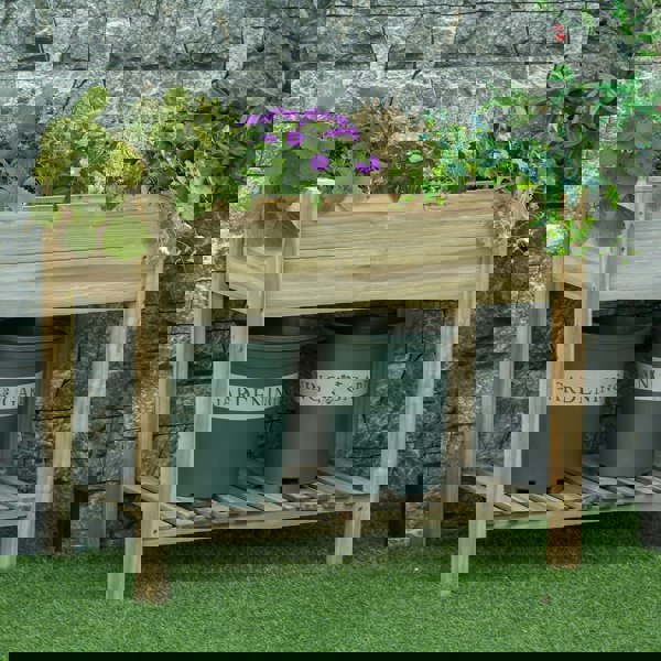 Raised Planter