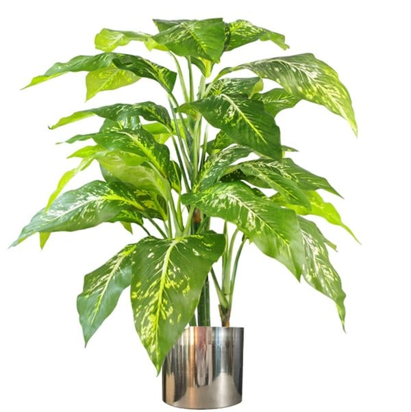 Leaf 100cm Large Fox's Aglaonema Realistic Tree Artificial Plant with Silver Metal Planter