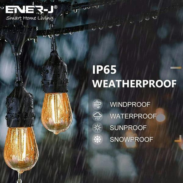 Ener-J 100ft LED Filament String Light Kit, 30 x 1W Vintage LED Bulbs, IP65 Waterproof, 30m Length