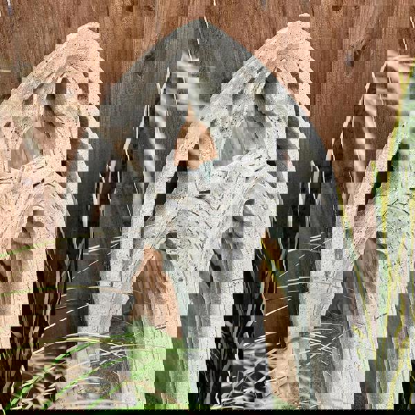 Unique Medium Gothic Wall Mirror