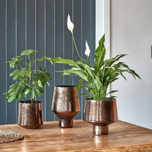 #color_metallic-bronze