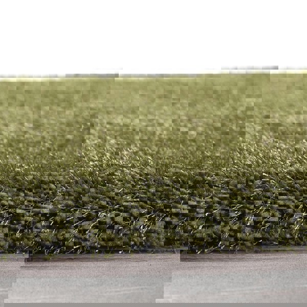 Origins Chicago Olive