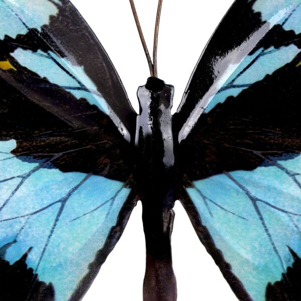 Garden Butterfly Wall Ornaments Bright Coloured Metal Butterflies 5 Colours Available (Black & Light Blue)