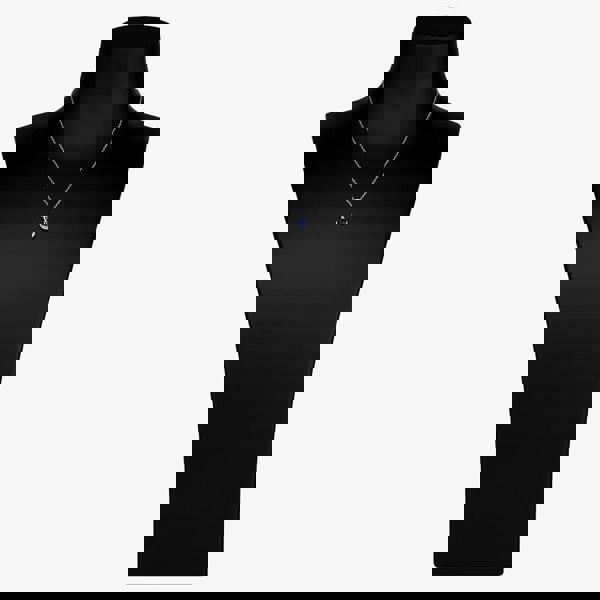 T. H. Baker Silver Blue Cubic Zirconia Wrapped Heart Pendant and Earring Set E614598+E614598-P