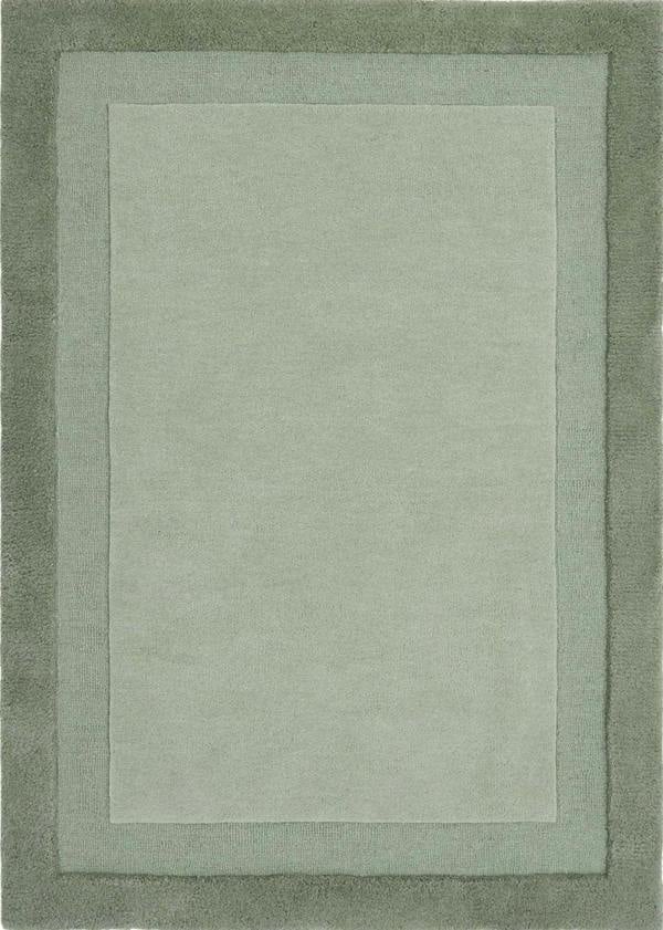 Rectangular green rug with a border