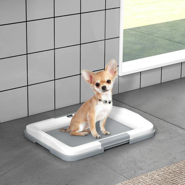 Dog Toilet