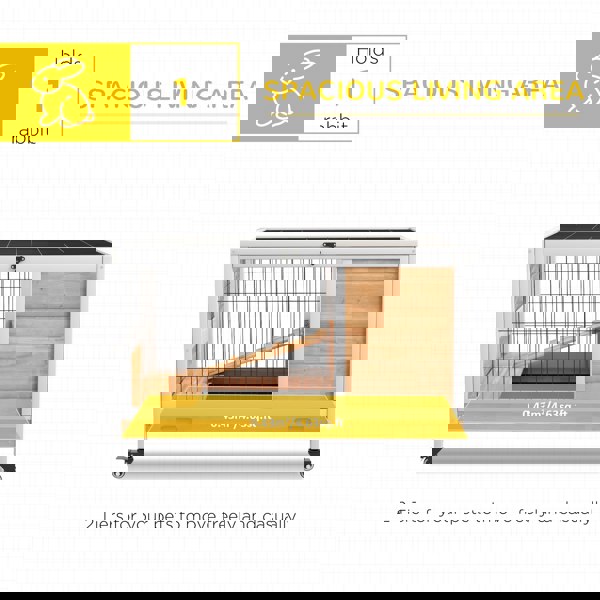 D51-126V00YL