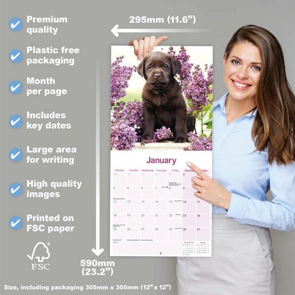 Chocolate Labrador Retriever Calendar 2027, Wall Calendars, Month To View, Dogs, Gift