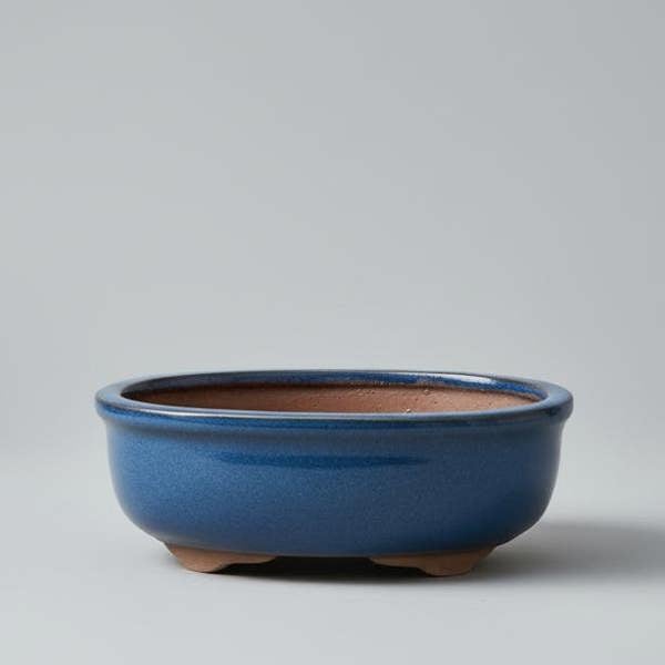 Yorkshire Bonsai 12cm Glazed Bonsai Pot | Oval | 12cm x 10cm x 5cm | Blue