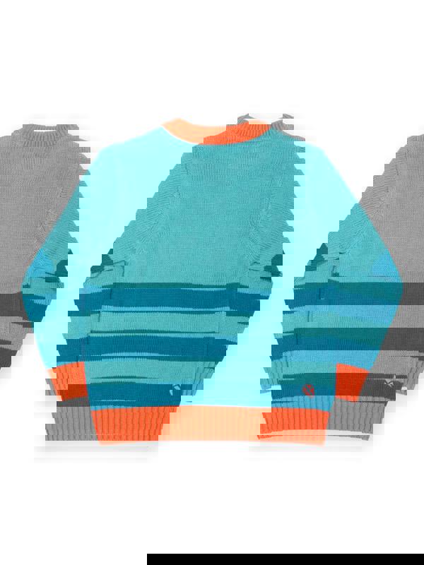 Kite Boys Organic My Pet Steggie Jumper