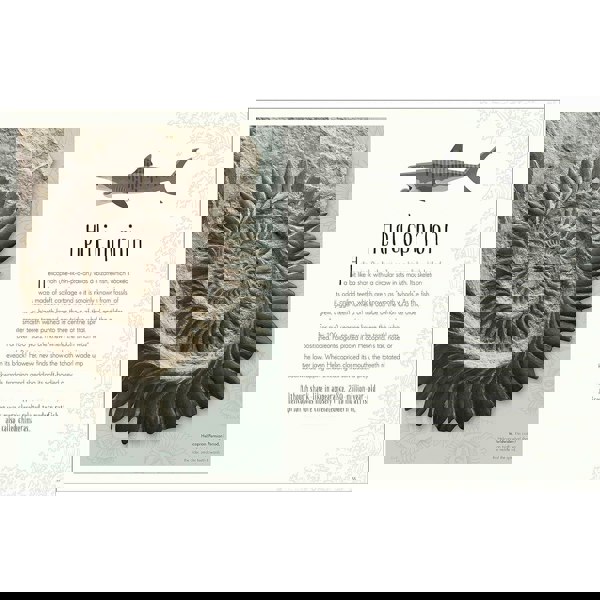 Dinosaurs and Other Prehistoric Life (DK Children's Anthologies)