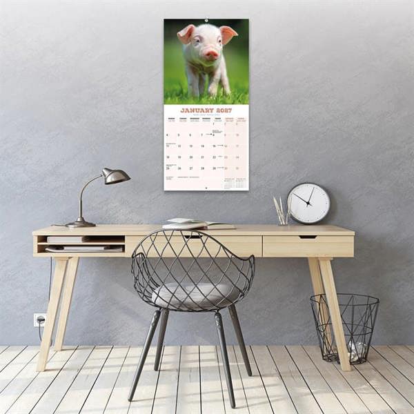 Pigs Calendar 2027, Wall Calendars, Month To View, Animals, Gift