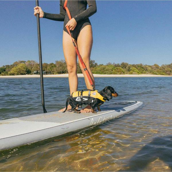 EzyDog DFD Micro Dog Life Jacket in Yellow