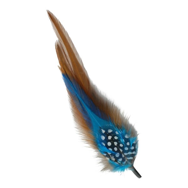 Gamble & Gunn Feather Mounts - Collection of 8 (Pack B)