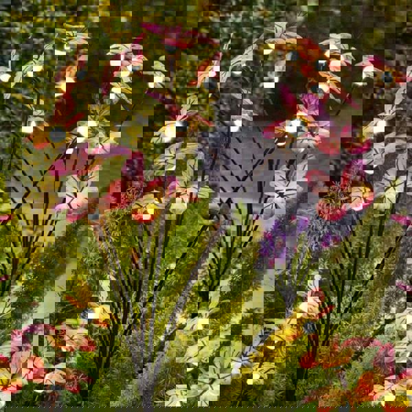 Leaper Solar Butterfly & Firefly Garden Ground Lights