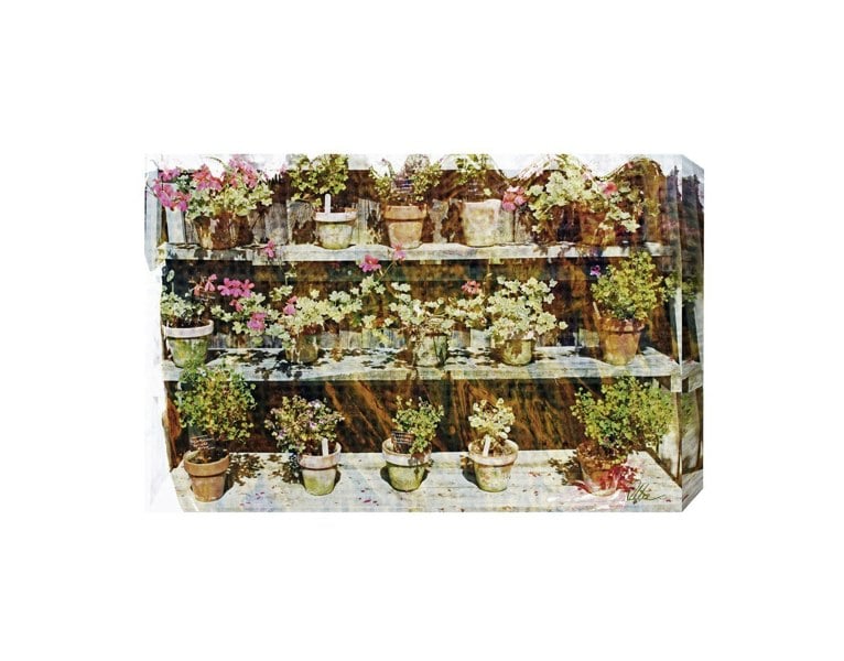 New Product Plant pots  - Andrew Lee Home and Living Homeware
