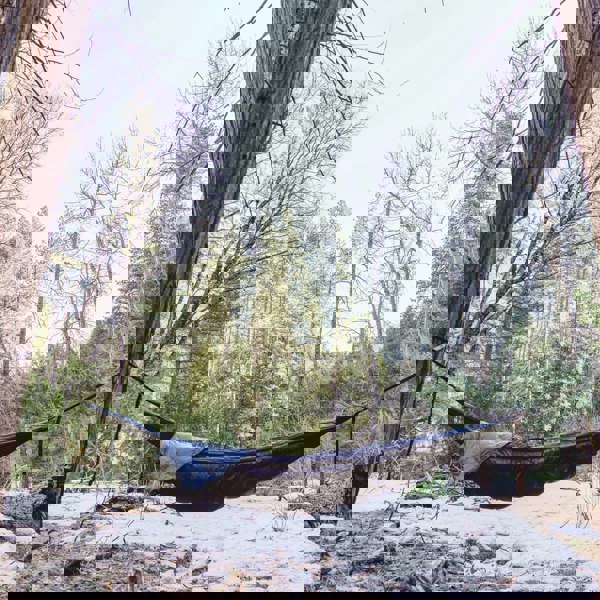 Evolution 20 Down Sleeping Bag Hammock Evo-down-LS-8