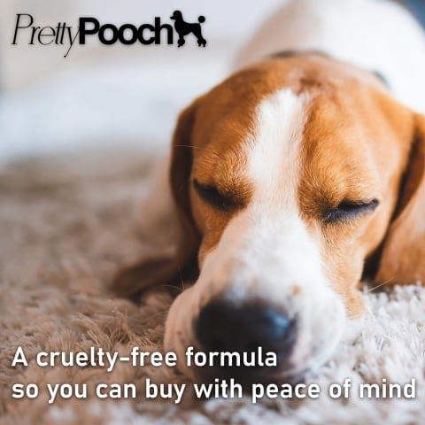 Pretty Pooch Dry Shampoo Mousse - Contains Aloe and Avocado - Cleans, Refreshes and Hydrates Without the Need for Water 200ml