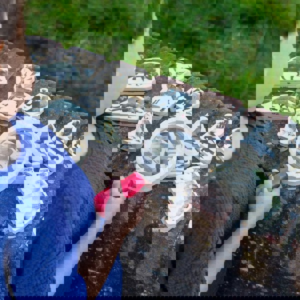 tickit Wooden Forest Animal Blocks