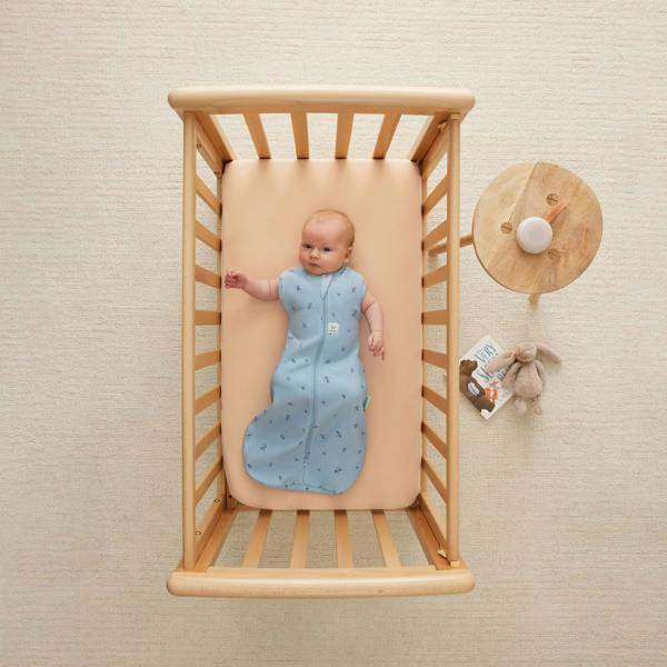 Organic All Year Cocoon Swaddle Sleeping Bag - Blue Dragonflies - 1.0 TOG